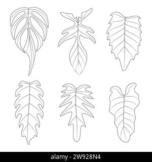 Ensemble d'illustrations en noir et blanc avec des feuilles de plante monstera creeper. Objets vectoriels isolés sur fond blanc. Illustration de Vecteur