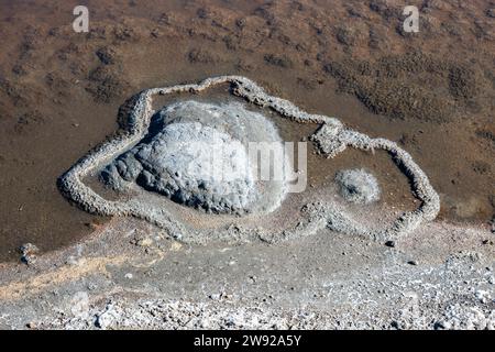 Cristaux d'halite (NaCl) formés sur le bord d'un bassin d'évaporation de sel. Californie, États-Unis. Banque D'Images