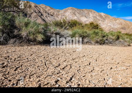 Des copeaux de boue se fissurent sur un lit de rivière asséché dans le désert. Californie, États-Unis. Banque D'Images