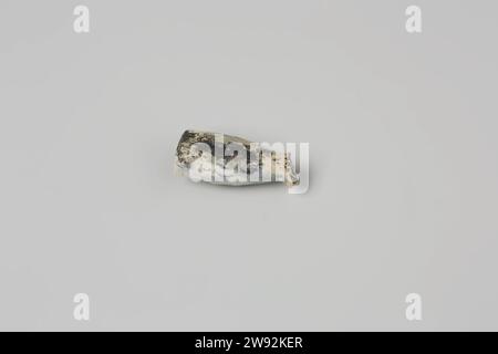 Extrait d'une tête de tuyau de l'épave du t Vliegend Hart des Indiens de l'est, WS, 1700 - 1735 partie d'une tête sans tige d'un Goudse Pijp en terre, blanc avec des taches de goudron. Talon marque ws. Légèrement endommagé. Fragments de bols et de tiges. Argile pour tuyaux Gouda Banque D'Images