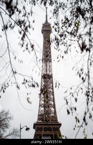 Branches d'automne sur la Tour Eiffel à Paris sous la pluie - France Banque D'Images