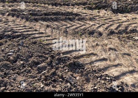 traces de véhicules lourds sur une route sablonneuse, traces de la bande de roulement des camions et tracteurs sur le terrain Banque D'Images