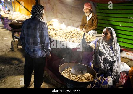 Kolkata, Inde. 23 décembre 2023. Foire du village aux Sundarbans le 4e jour de l'événement de durée de 10 jours. Plusieurs organisations gouvernementales et autres entités privées ont pris part à ce 'Sundarban Kristi Mela O Loko Sanskriti Utsab' (20 au 29 décembre 2023) qui est organisé par le 'Kultali Milon Tirtha Soceity' dans le village Kultali, Narayantala, Basanti, Sud 24 Parganas, Bengale occidental, 70 km de Kolkata. (Photo de Biswarup Ganguly/Pacific Press) crédit : Pacific Press Media production Corp./Alamy Live News Banque D'Images