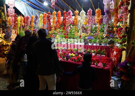 Kolkata, Inde. 23 décembre 2023. Foire du village aux Sundarbans le 4e jour de l'événement de durée de 10 jours. Plusieurs organisations gouvernementales et autres entités privées ont pris part à ce 'Sundarban Kristi Mela O Loko Sanskriti Utsab' (20 au 29 décembre 2023) qui est organisé par le 'Kultali Milon Tirtha Soceity' dans le village Kultali, Narayantala, Basanti, Sud 24 Parganas, Bengale occidental, 70 km de Kolkata. (Photo de Biswarup Ganguly/Pacific Press) crédit : Pacific Press Media production Corp./Alamy Live News Banque D'Images