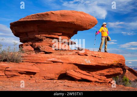 Rock chant le long de la jante blanc donnent sur sentier, Canyonlands National Park, Utah Banque D'Images