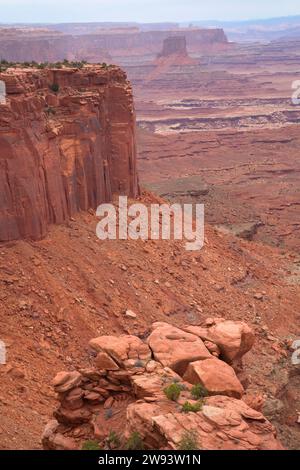 Falaises de grès de Buck Creek Overlook, parc national de Canyonlands, Utah Banque D'Images