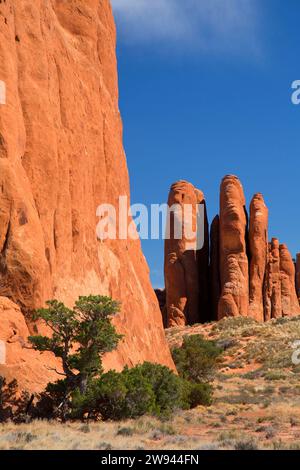 Les affleurements de grès le long de Broken Arch Trail, Arches National Park, Utah Banque D'Images