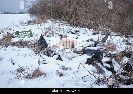 Déversement illégal de déchets communaux provenant de la construction dans une zone forestière proche du champ agricole. Les ordures comme les toilettes, les boîtes, les caisses, le plastique. Tchéquie Banque D'Images