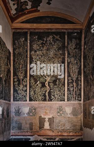 Naples, Italie - novembre 8 2023 : serpent en figuier, fresque romaine de la Casa del Frutteto à Pompéi, 1e siècle Banque D'Images