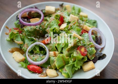 Gros plan de salade panzanella, salade hachée toscane et ombrienne de pain rassis trempé, oignons et tomates servis sur assiette Banque D'Images