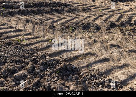 traces de véhicules lourds sur une route sablonneuse, traces de la bande de roulement des camions et tracteurs sur le terrain Banque D'Images