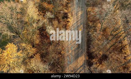Personne sur la veste orange à vélo sur la route de campagne de terre entre les arbres sans feuilles sur la journée ensoleillée d'automne. Paysage rural de campagne, paysage de campagne. Vue aérienne du drone. Tourisme de voyage Banque D'Images