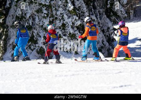 Feldberg, Allemagne - 08 février 2023 : élèves de l'école de ski Thoma lors d'un entraînement de descente en montagne en Forêt Noire. 4 enfants apprenant l'hiver sp Banque D'Images