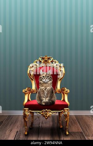 chat tabby assis sur un fauteuil royal Banque D'Images