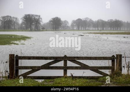 YPELO - la rivière de Regge déborde ses rives entre Enter et Ypelo. En partie à cause des pluies persistantes, le niveau de l'eau dans les rivières néerlandaises a fortement augmenté. ANP VINCENT JANNINK netherlands Out - belgique Out Banque D'Images