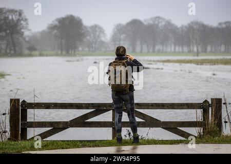 YPELO - la rivière de Regge déborde ses rives entre Enter et Ypelo. En partie à cause des pluies persistantes, le niveau de l'eau dans les rivières néerlandaises a fortement augmenté. ANP VINCENT JANNINK netherlands Out - belgique Out Banque D'Images
