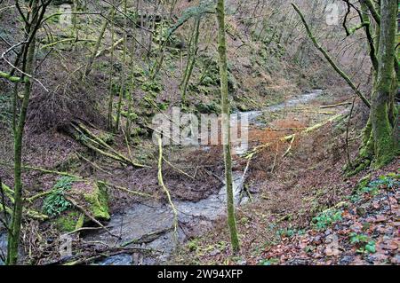 Vue panoramique d'Erdenbach près de Bad Bertrich le jour d'hiver Banque D'Images