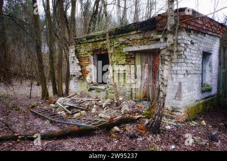 Un bâtiment en briques en ruine avec une cheminée au milieu d'une forêt dense. Le bâtiment est envahi de vignes et de mousse. Banque D'Images