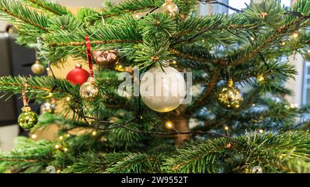 Hambourg, Allemagne. 24 décembre 2023. Un sapin de Noël se dresse dans la garderie Diakonie Hamburg pour les sans-abri. Crédit : Markus Scholz/dpa/Alamy Live News Banque D'Images