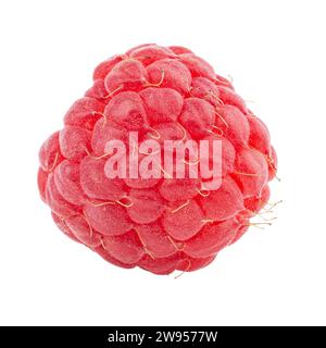 Un fruit framboise frais isolé dans le fond blanc. Baies isolées. Nourriture saine. Le fichier contient un chemin de détourage. Profondeur de champ totale. Banque D'Images