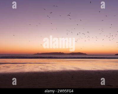 Les oiseaux volent au-dessus d'une plage de sable au coucher du soleil pendant l'heure dorée avec une île derrière, à Essaouira, Maroc. 23 décembre 2023 Banque D'Images