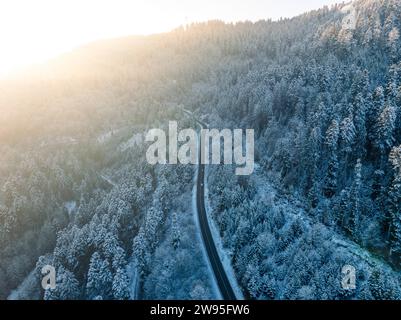 La lumière du matin tombe sur une route sinueuse dans la forêt d'hiver d'une vue d'oiseau, Dobel, vue aérienne, Forêt Noire, Allemagne Banque D'Images