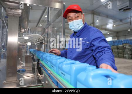 Urumqi. 21 décembre 2023. Un homme travaille dans une entreprise de biotechnologie du corps de production et de construction du Xinjiang dans la région autonome ouïgoure du Xinjiang, dans le nord-ouest de la Chine, 21 décembre 2023. Crédit : Hu Huhu/Xinhua/Alamy Live News Banque D'Images