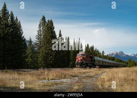 Le train de marchandises traverse les Rocheuses canadiennes Banque D'Images