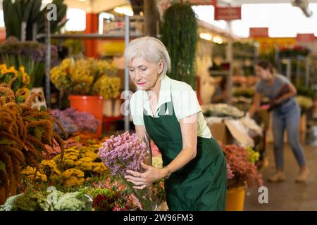 Femme âgée, hôtesse du marché aux fleurs, recueille la lavande dans un bouquet Banque D'Images