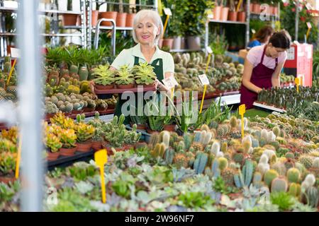 La femme âgée travaillant au marché aux fleurs est attentive à examiner le cactus dans le pot Banque D'Images