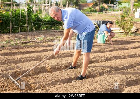 Jardinier âgé positif travaillant avec le râteau dans le jardin potager le jour d'été, préparant le sol pour la transplantation de semis Banque D'Images