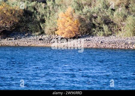 Colorado River, Bullhead City, Az et Laughlin, NV Banque D'Images