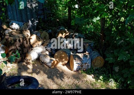 Pile de bois de chauffage dans le jardin en été, Russie Banque D'Images