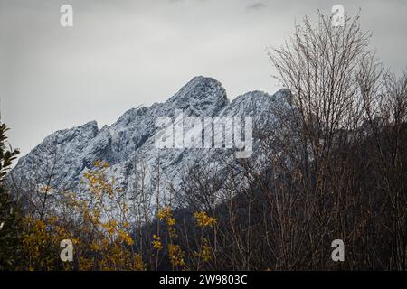 Un paysage hivernal idyllique avec des montagnes enneigées et des arbres silhouettés dans un ciel nuageux Banque D'Images