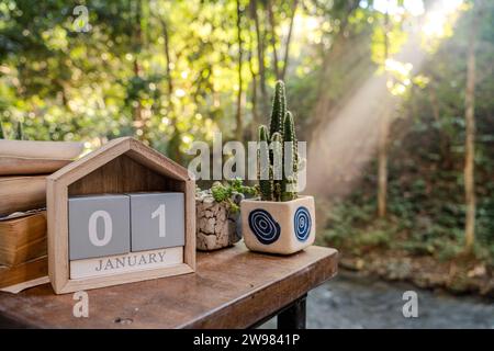 Janvier 1, date texte sur le bloc de cube calendrier sur la table en bois avec livre et cactus dans un pot de plantes, premier lever de soleil de l'année en arrière-plan avec forêt Banque D'Images