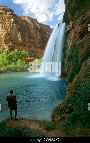 Homme regardant Havasu Water Fall dans le Grand Canyon, AZ. Banque D'Images