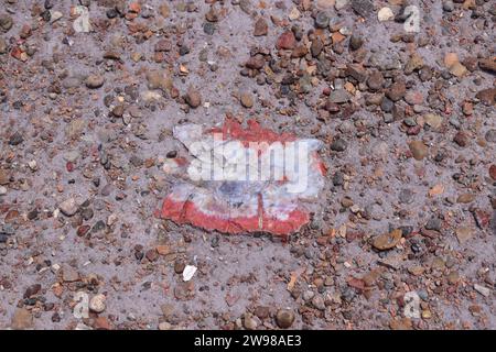 Gros morceaux de bûches minérales cristallisées sur le sol dans le parc national Petrified Forest Banque D'Images