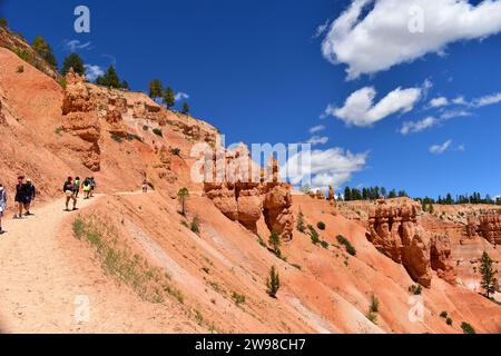 Les gens marchent en montée sur le Navajo Loop Trail dans le parc national de Bryce Canyon Banque D'Images