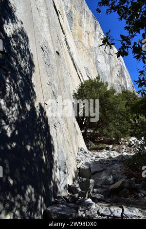 La base de la vallée du mur d'escalade de granit El Capitan dans la vallée de Yosemite Banque D'Images