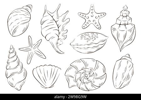 Coquillages sous-marins décorés dans un style d'art en ligne. Conception d'été pour restaurant de poisson, paquet, logo, icône, menu. Illustration vectorielle isolée sur un blanc Illustration de Vecteur