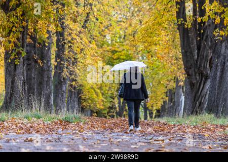 Promenade d'automne avec parapluie par temps de pluie, une femme marche à travers une avenue de châtaigniers dans le jardin du Palais inférieur à Stuttgart Banque D'Images