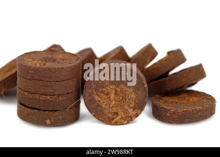 comprimés de source de noix de coco pour une culture facile à partir de graines, comprimés cocos briquetts pour planter des graines isolées sur blanc Banque D'Images