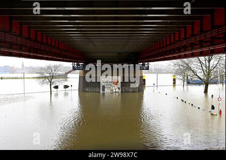 Sturm,Dauerregen,Hochwasser,Überflutung.Rheinhochwasser und überflutete Wiesen an der Mühlenweide in Duisburg-Ruhrort,Stadt im Ruhrgebiet im Bundesland Nordrhein-Westfalen NRW ,fotografiert am 1.Weihnachtstag 25.12.2023. â *** tempête, pluie continue, hautes eaux, inondations Rhénanie du Nord-Westphalie inondation et prairies inondées à la Mühlenweide à Duisburg Ruhrort, ville dans la région de la Ruhr dans l'état de Rhénanie-du-Nord-Westphalie NRW, photographié le jour de Noël 25 12 2023 Â Banque D'Images