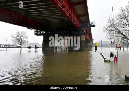 Sturm,Dauerregen,Hochwasser,Überflutung.Rheinhochwasser und überflutete Wiesen an der Mühlenweide in Duisburg-Ruhrort,Stadt im Ruhrgebiet im Bundesland Nordrhein-Westfalen NRW ,fotografiert am 1.Weihnachtstag 25.12.2023. â *** tempête, pluie continue, hautes eaux, inondations Rhénanie du Nord-Westphalie inondation et prairies inondées à la Mühlenweide à Duisburg Ruhrort, ville dans la région de la Ruhr dans l'état de Rhénanie-du-Nord-Westphalie NRW, photographié le jour de Noël 25 12 2023 Â Banque D'Images