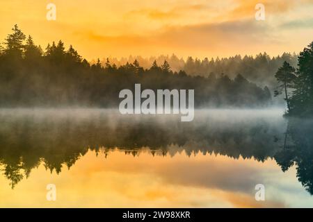 Le petit lac des landes, étang de la Gruère dans le canton suisse du Jura. Humeurs matinales juste avant et après le lever du soleil Banque D'Images