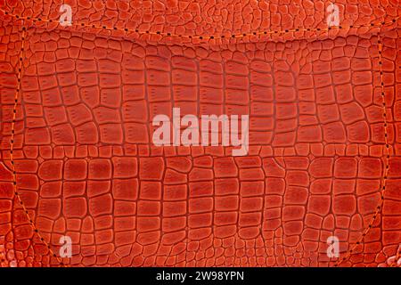 Le fond est fait de peau de crocodile rouge. Gros plan du sac en cuir. Banque D'Images