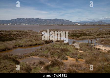 Une vue panoramique avec une étendue d'eau claire dans le delta de l'Èbre, en Catalogne Banque D'Images