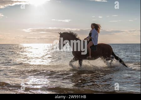 Une belle jeune femme chevauchant son cheval dans l'eau sur une plage ensoleillée Banque D'Images