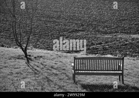 Un banc de parc en bois situé dans un champ verdoyant et herbeux à Maransart, Belgique Banque D'Images