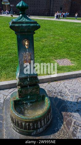 Une verticale d'une vieille fontaine d'eau sur l'herbe verte luxuriante Banque D'Images